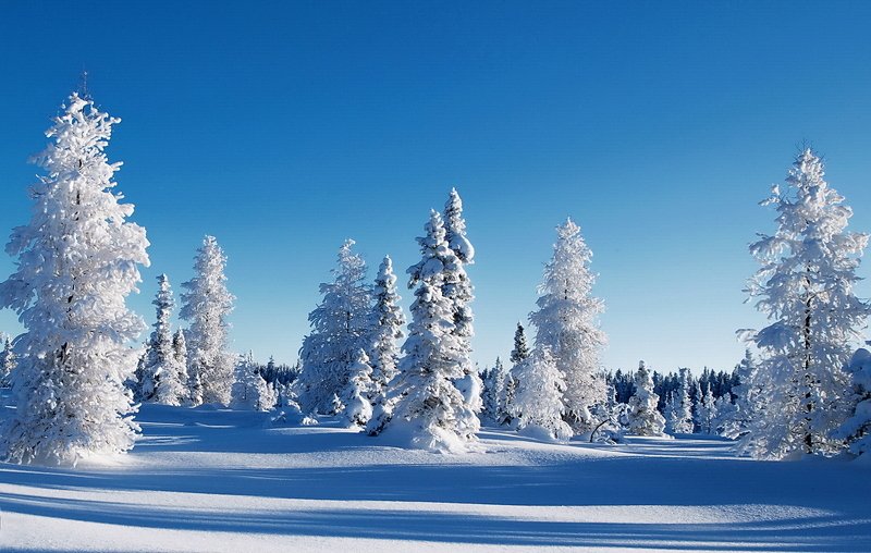 Beauty of nature фото превью