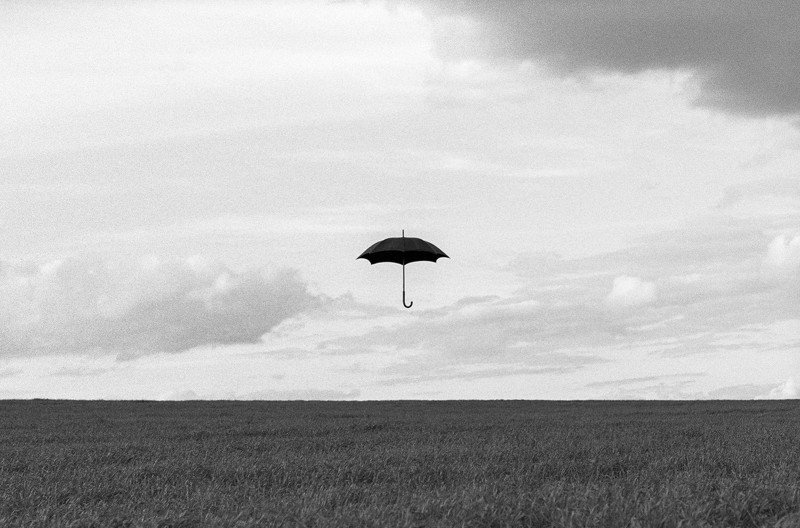 Flight of Fantasy фото превью