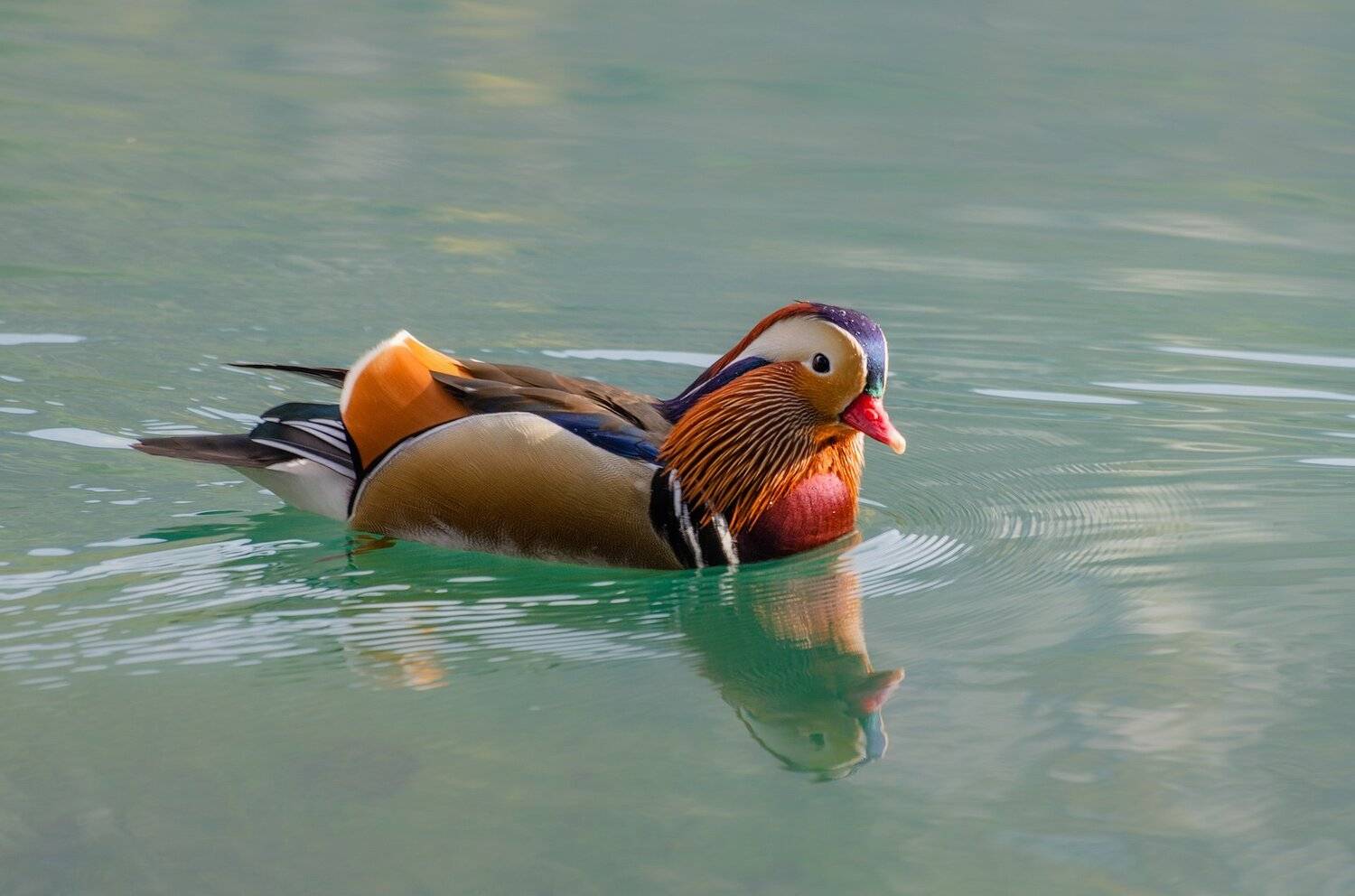 , Шевченко Юрий