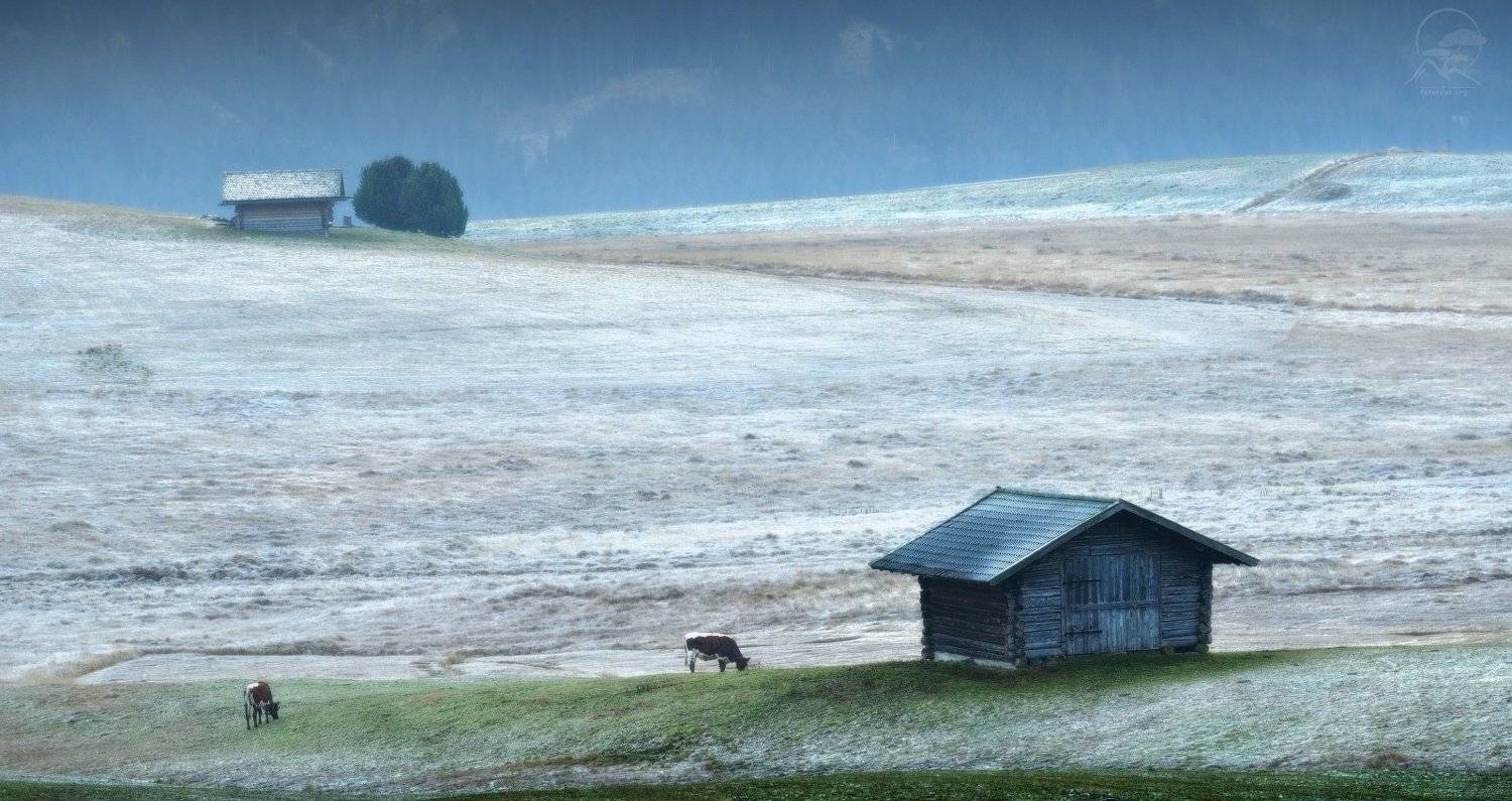 пейзаж, природа, горы, италия, пастораль, доломиты, Анатолий Гордиенко