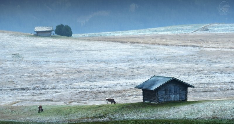 пейзаж, природа, горы, италия, пастораль, доломиты Седое утро фото превью