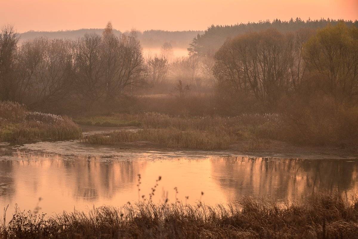 осень,рассвет,октябрь,пейзаж,природа, Юлия Лаптева