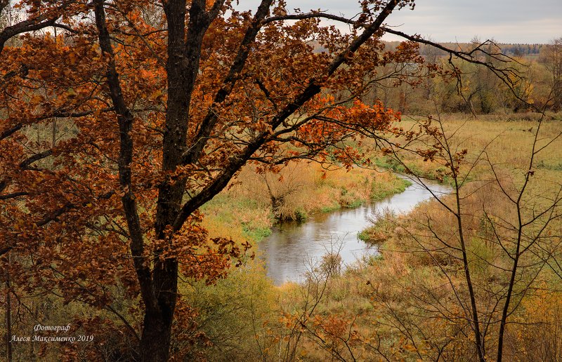 река, Беларусь.  фото превью