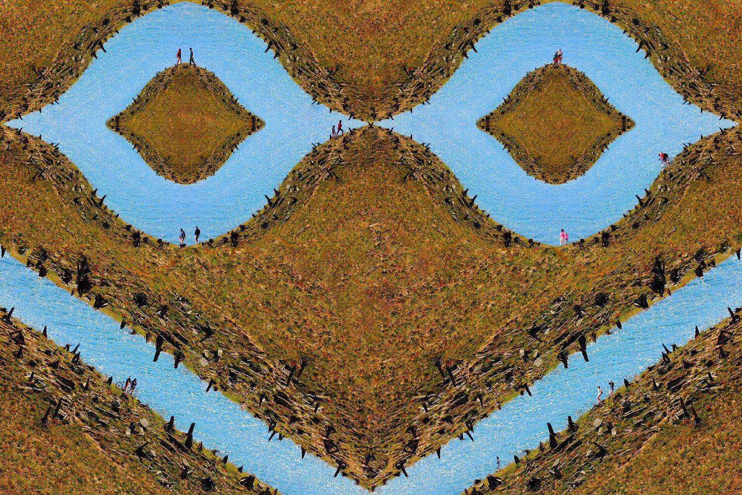 креатив, обработка, концепция, жизнь, симбиоз, concept, organism, live, life, symbiosis, Дмитрий Салтыков