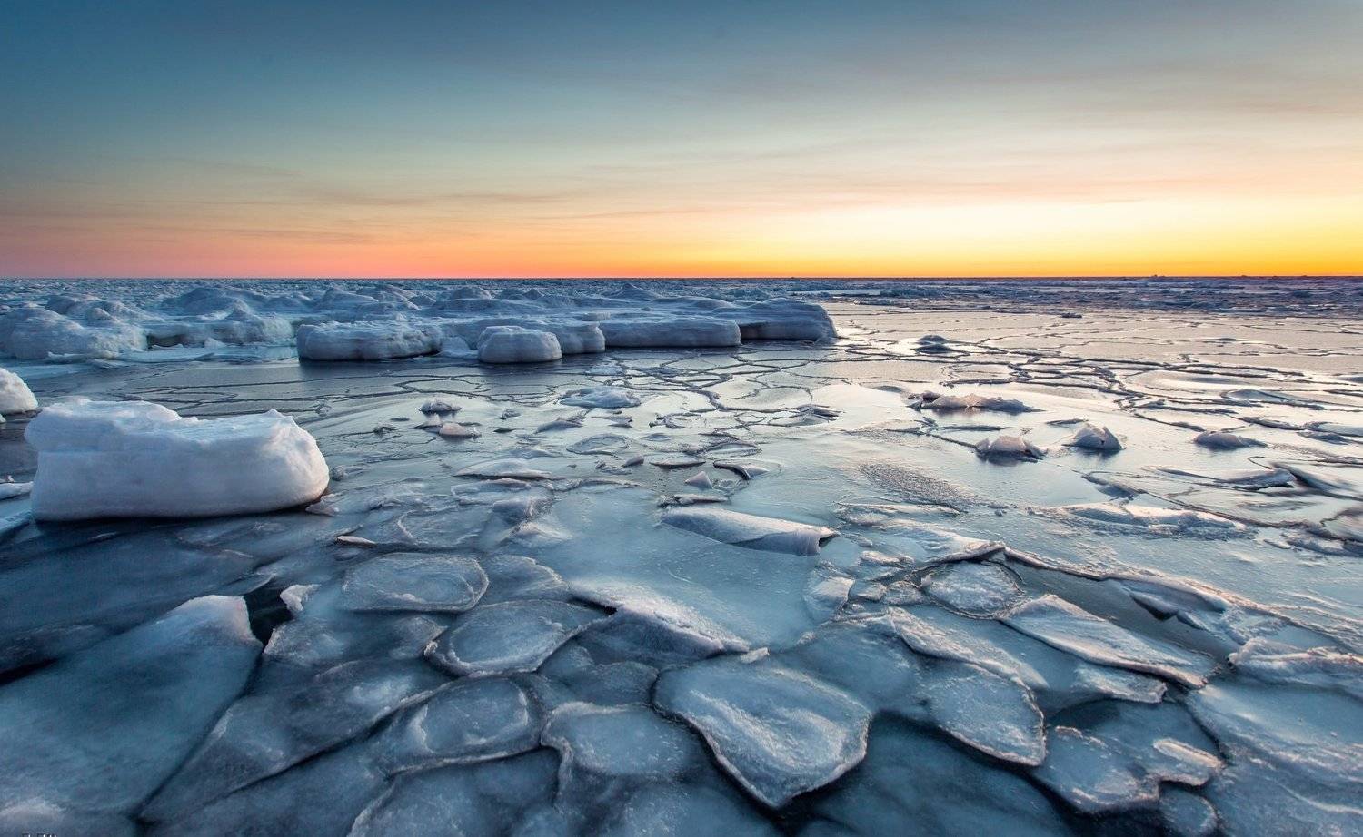 , Денис Винарь