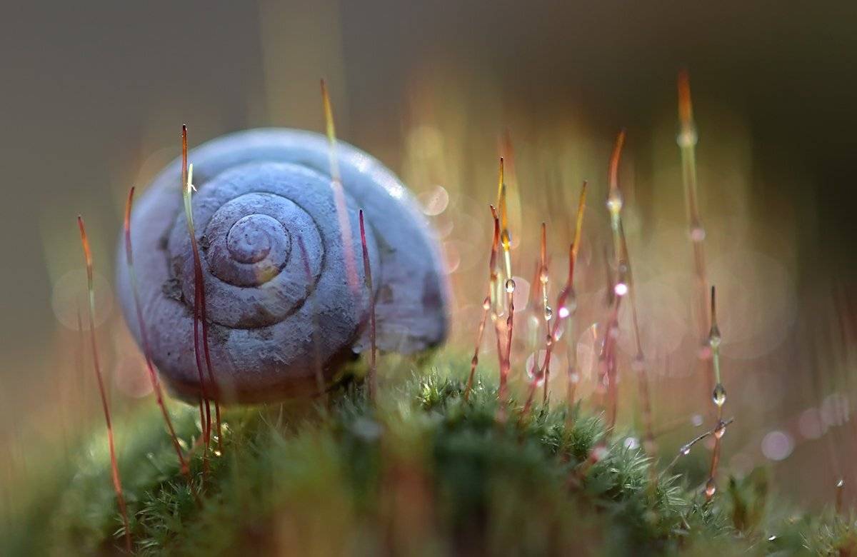 , Галина Горькавая