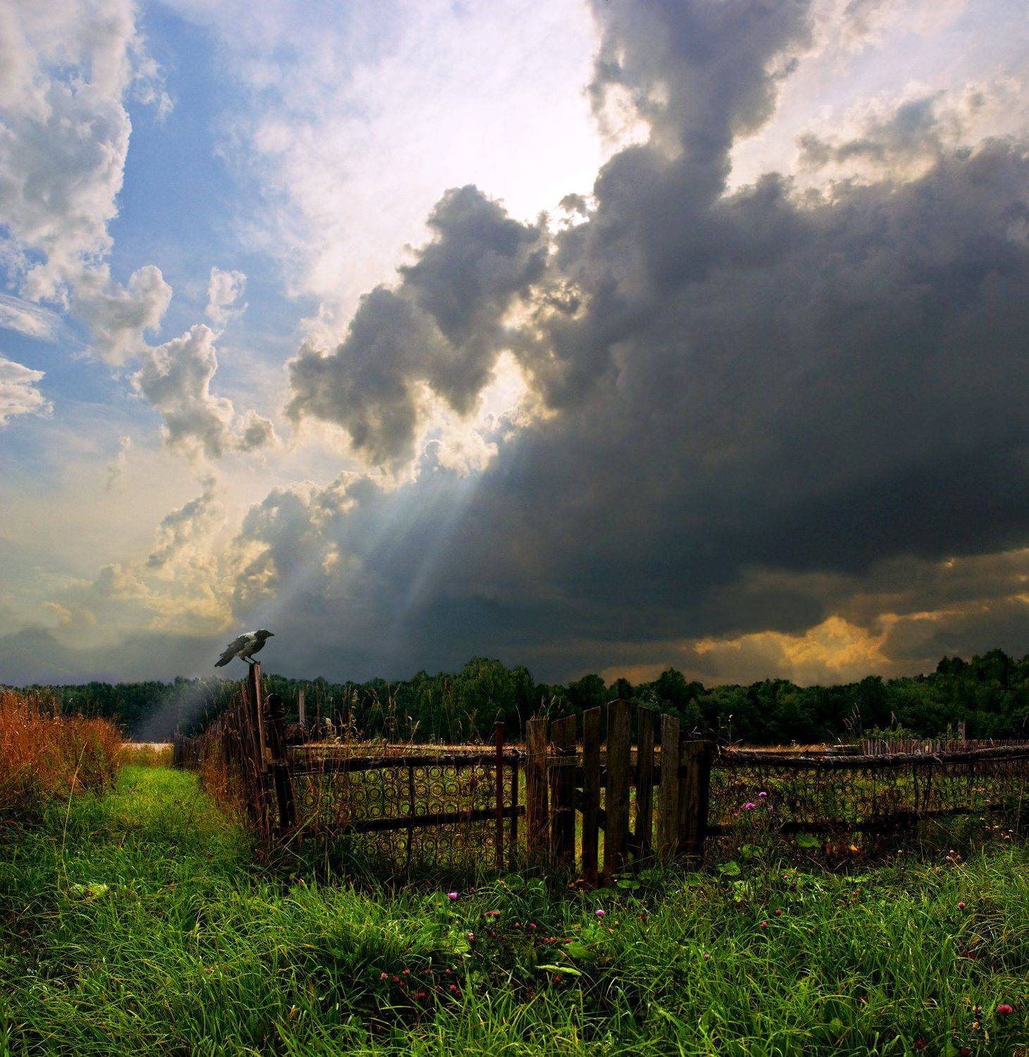 , Герман Корнилов