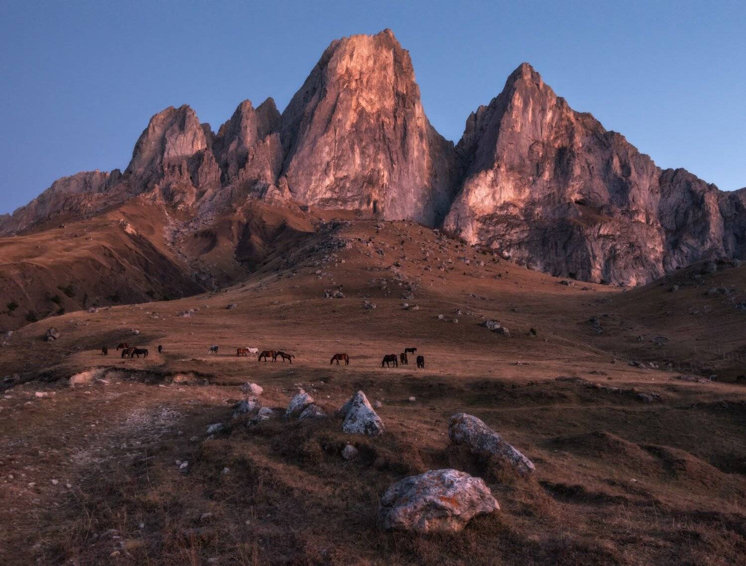 кавказ, ингушетия, Андрей Грачев