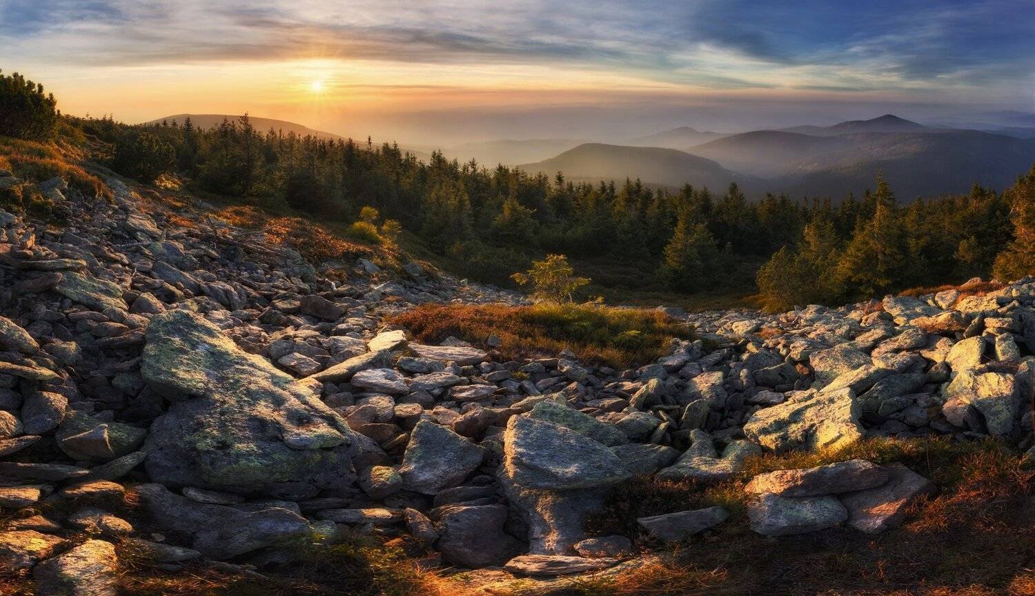 landscape, tree, sunset, panorama, Petr Fiala