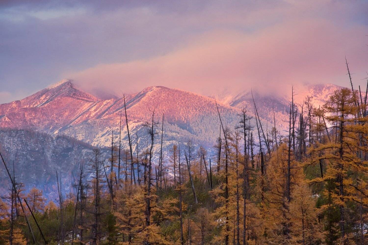 , Павел Глушков