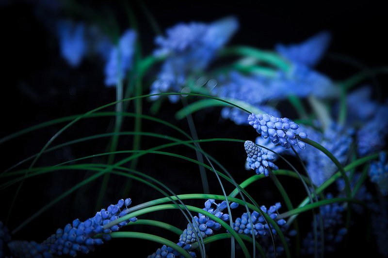 ... фото превью