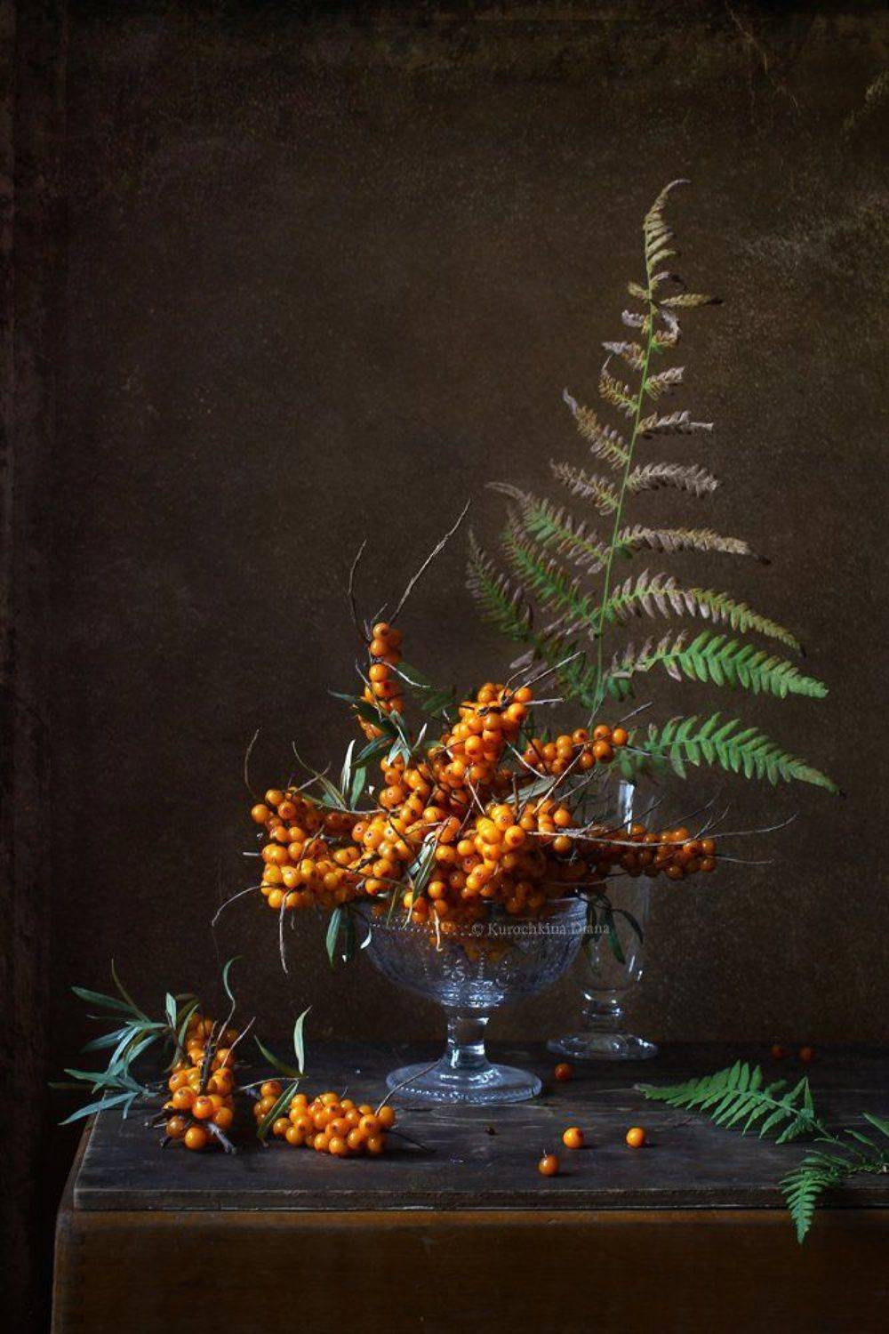 натюрморт, осень, облепиха, папоротник, Курочкина Диана