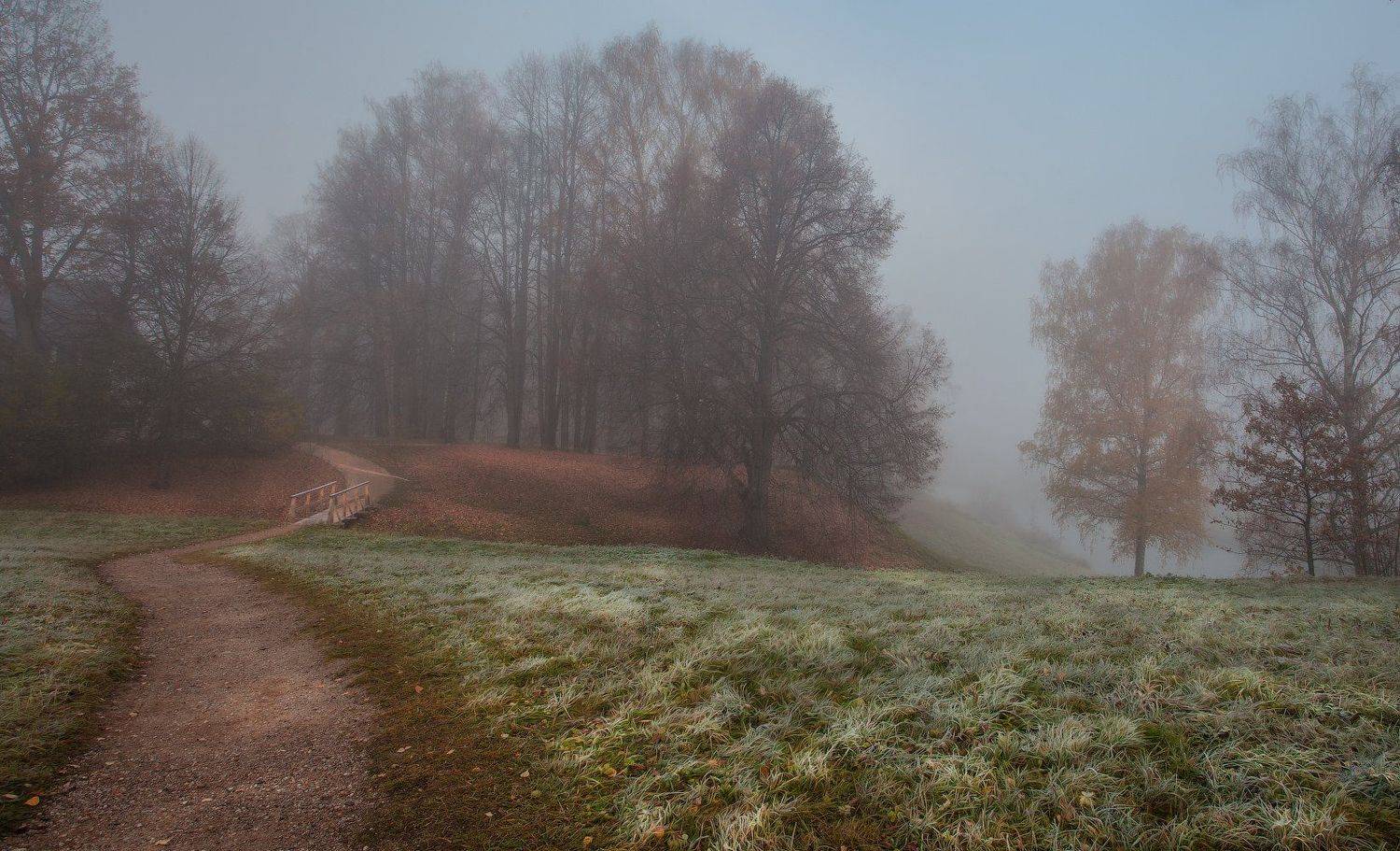 Октябрь, Тригорское, Псковская обл., Андрей Леонидович