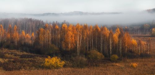 Изборская осень