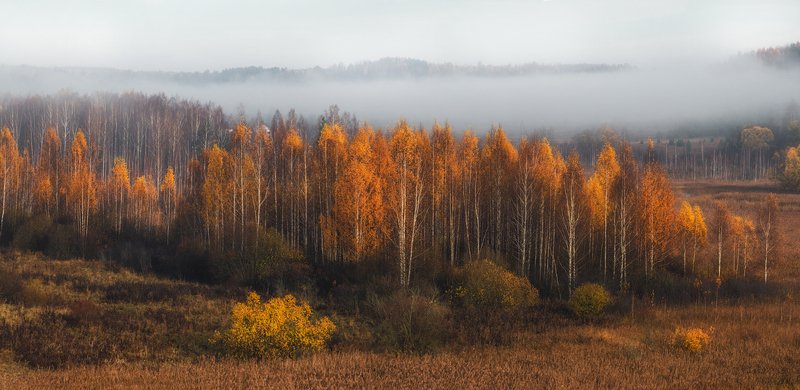 изборск, туман, озеро Изборская осень фото превью