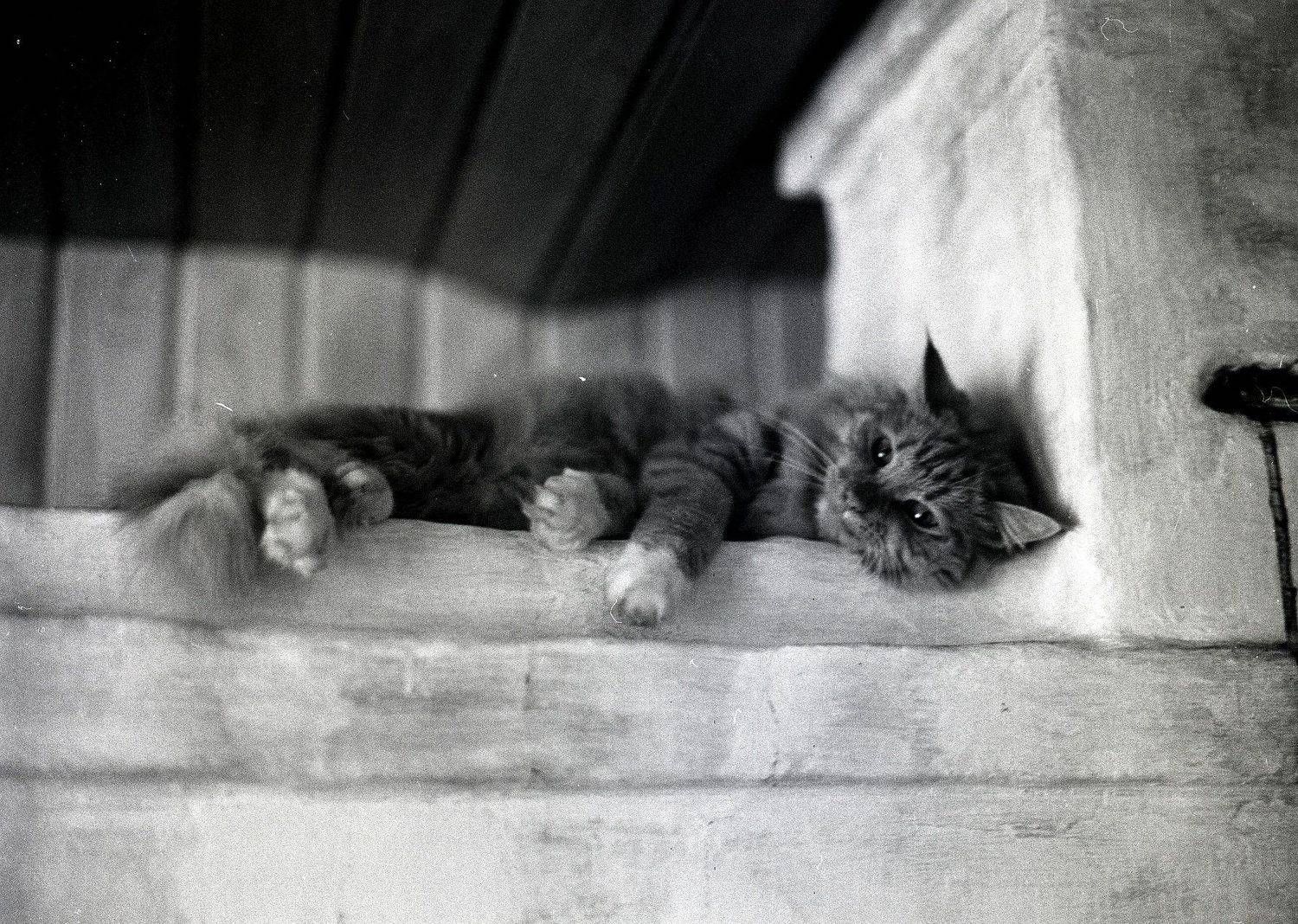 , Илья Глобин