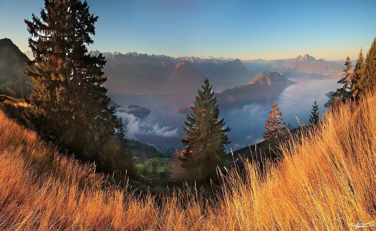 swiss, Матвеев Николай