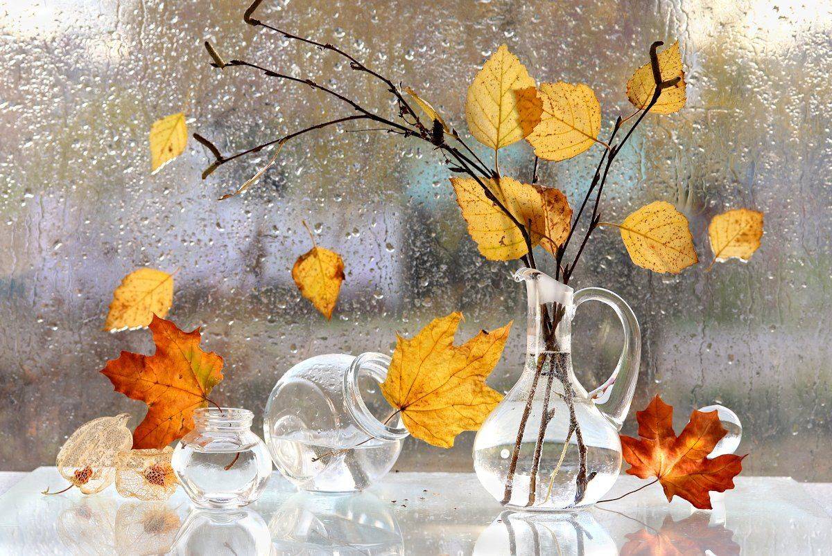 , Шруб (Беляева) Татьяна