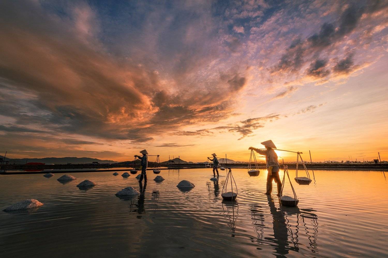 sunrise, workers, salt field, vietnam, travel, Natnattcha Chaturapitamorn