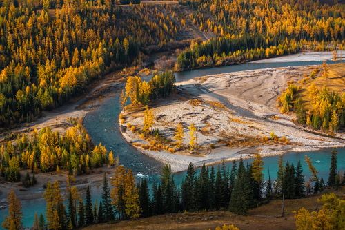 Слияние Аргута и Коксу.