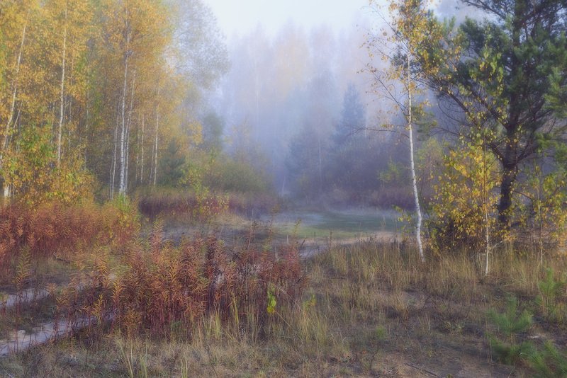 Осенняя фото превью