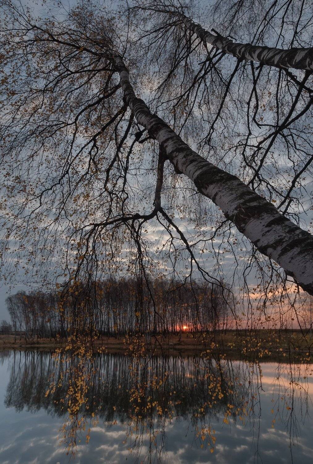 , Баранов Олег