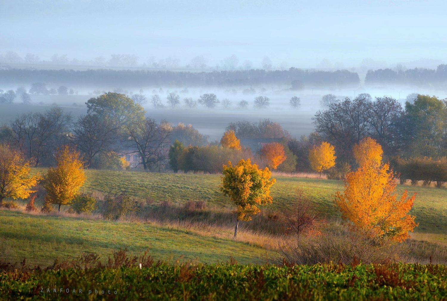 сцена осенью, осень,zanfoar,czech republic,nikon d750,moravia,bohemia,чехия,  Zanfoar