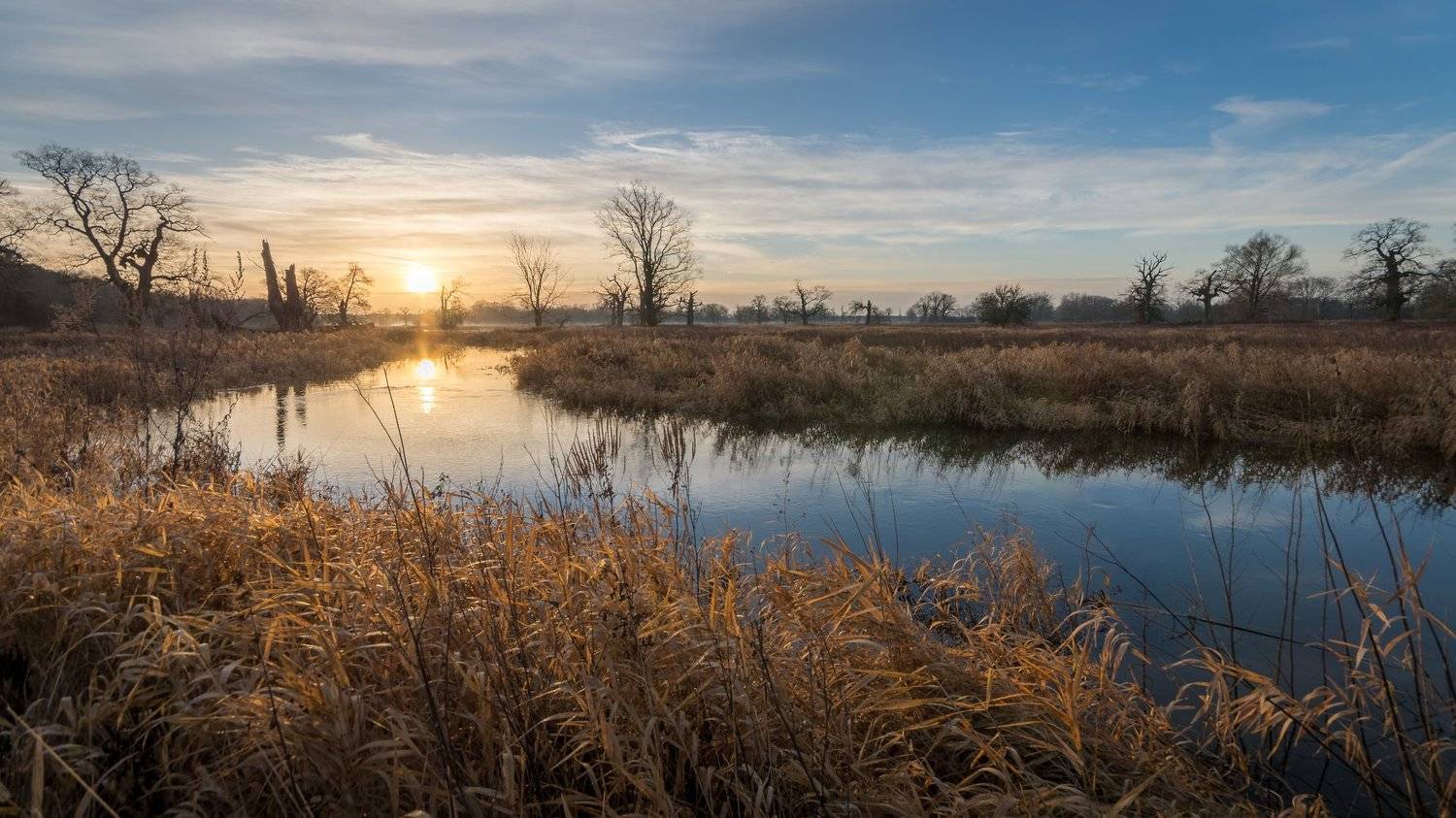 , Maciej Werbliński