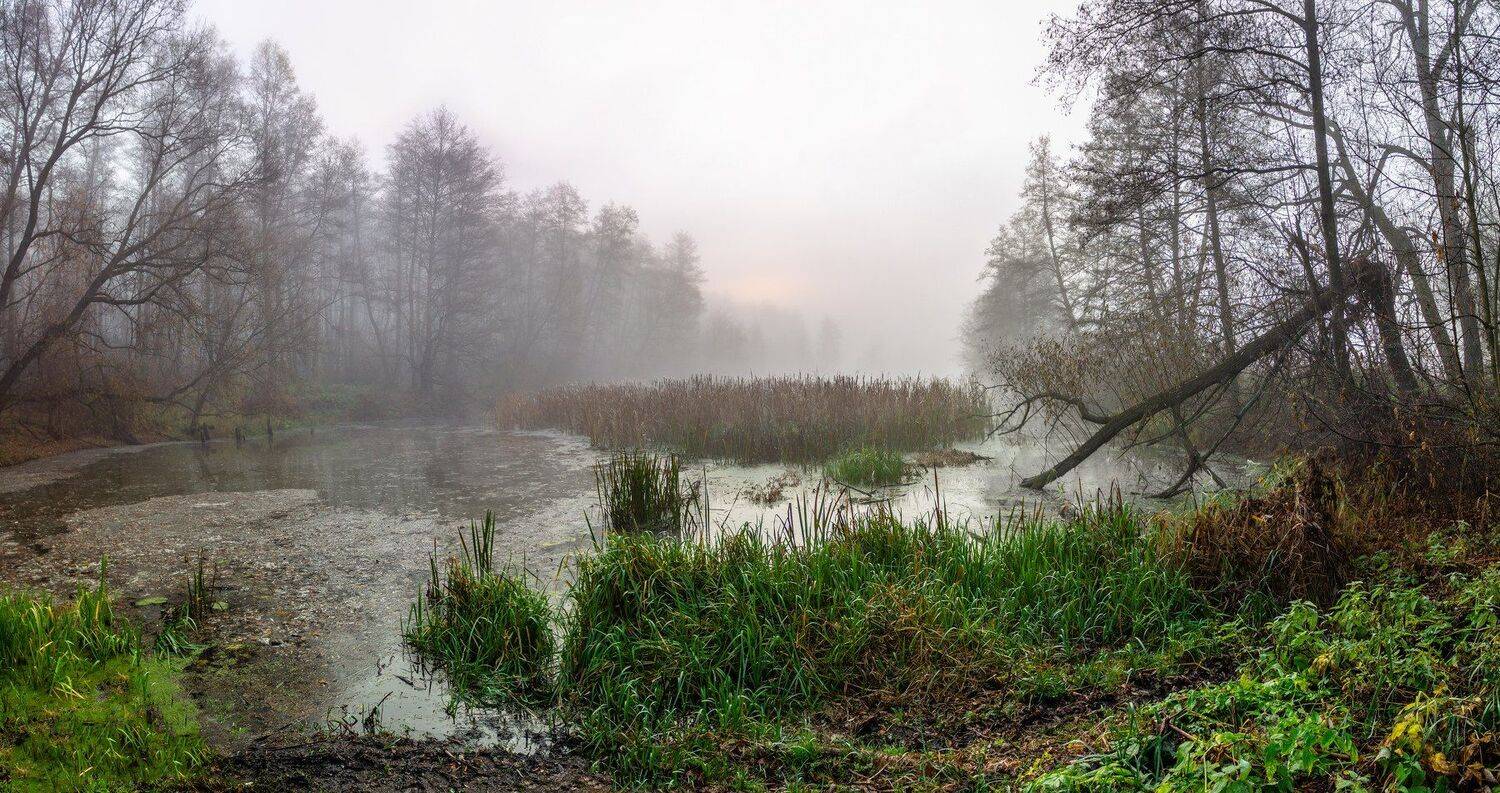 осень, туман, вода, Руслан Востриков