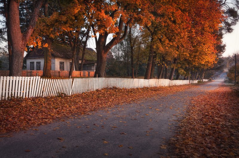 Осень сквозь года... фото превью