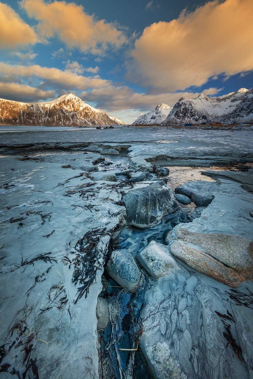 , Тодор Божков