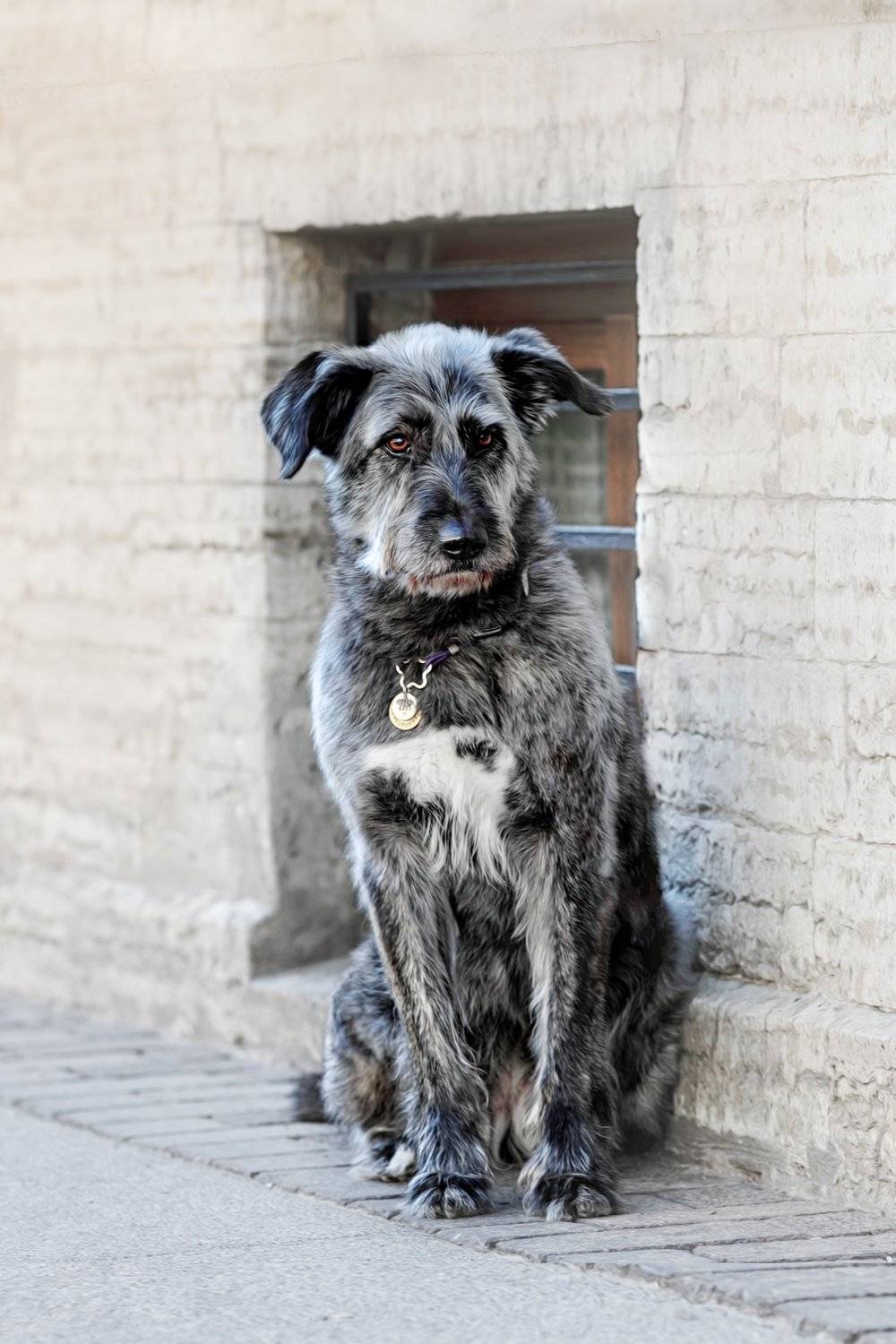 , Наталия Поникарова