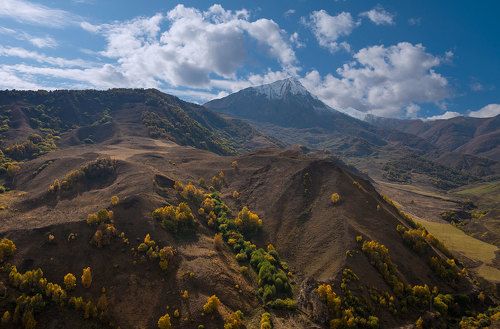 Осенний Актопрак
