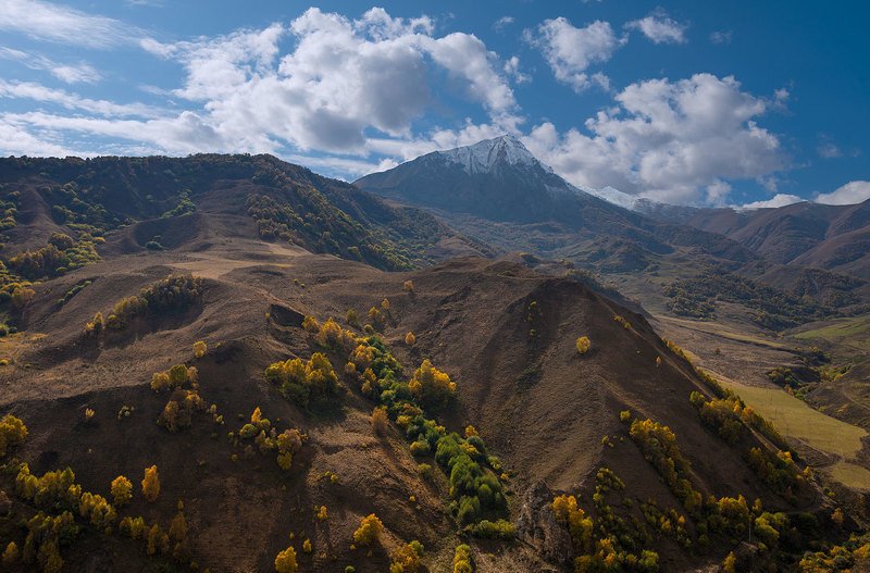 Осенний Актопрак фото превью