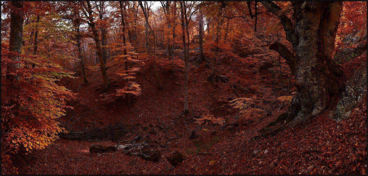 , Владимир Метцгер
