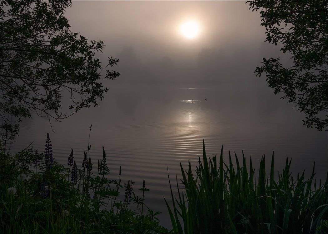 , Аркадий Белов