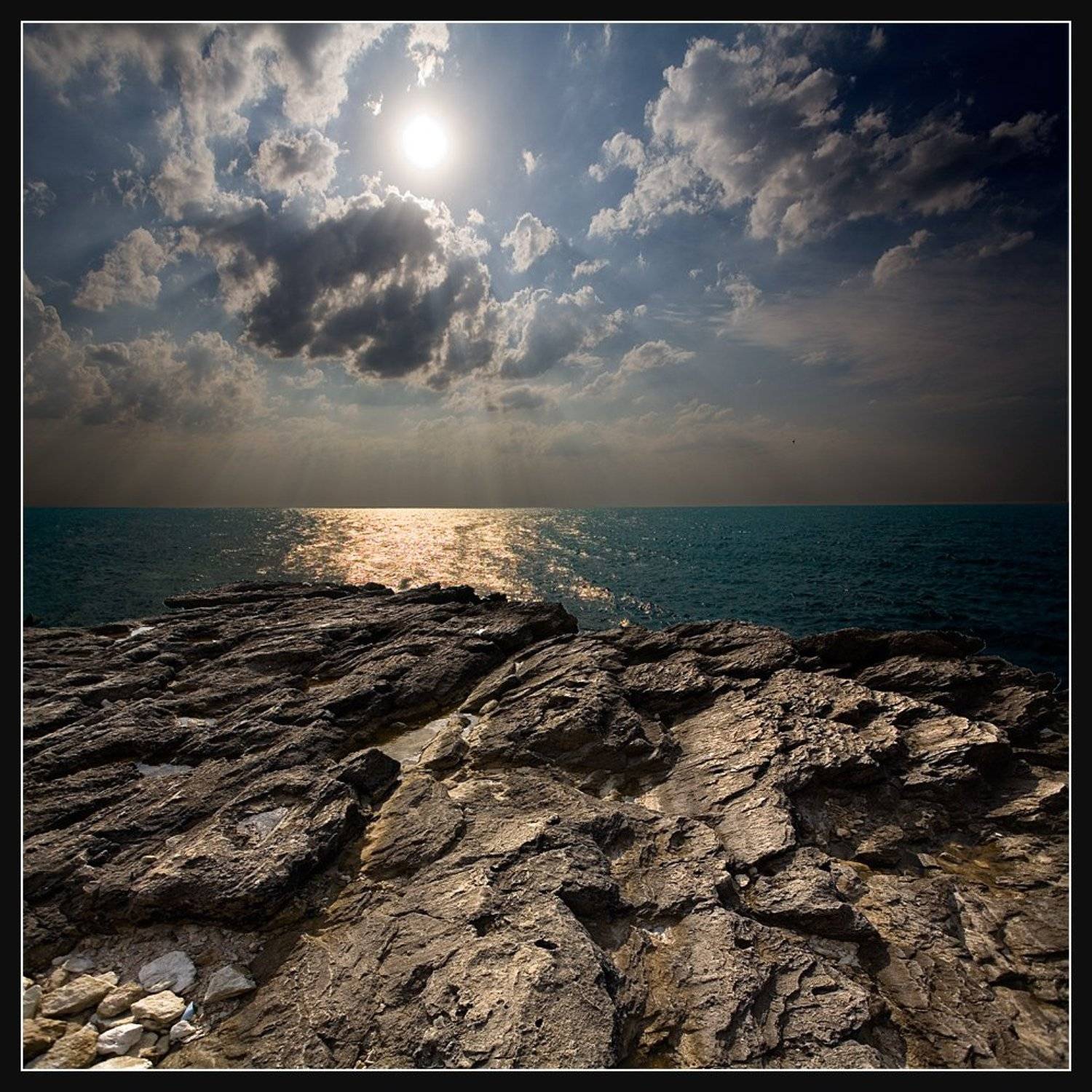 , Алексей Соловей