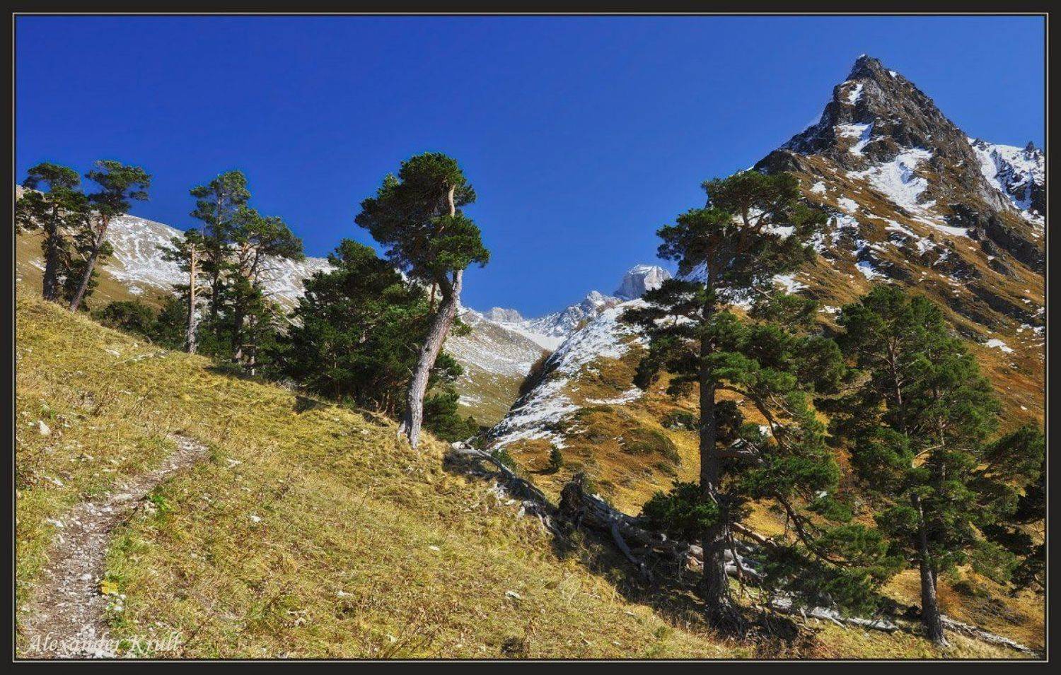 кавказ, кчр, горы, осень, загедан, Александр Круль