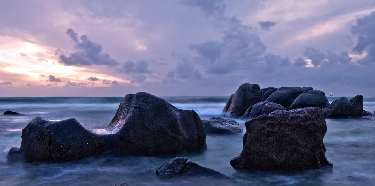 , Людмила Прокофьева