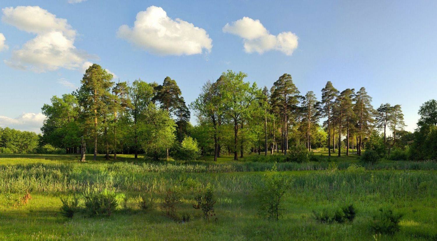 , Andrey Zolotnitsyn