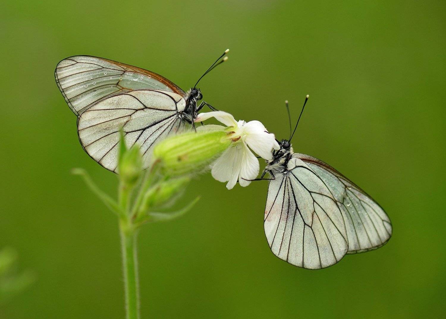, Александр Юкарев