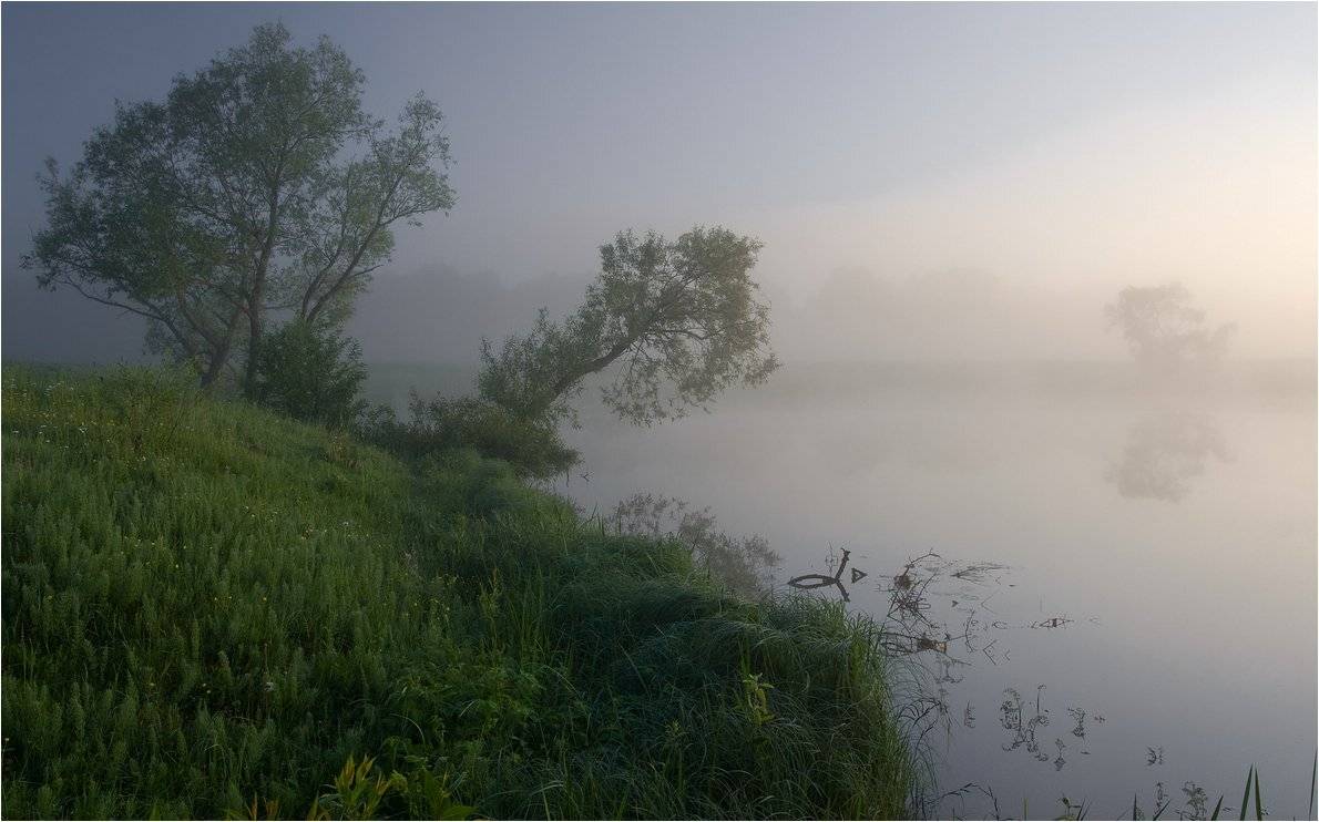 , Николай Шахманцир