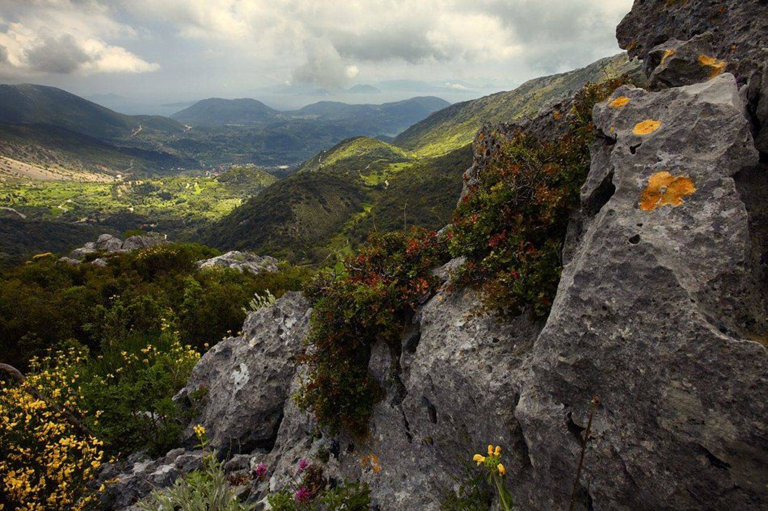 , Момчил Великов