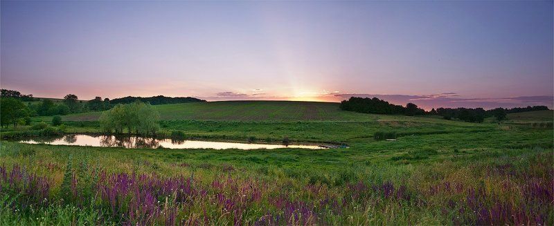 село, поле, ставок, закат, солнца, полевые, цветы Сельские  закаты фото превью