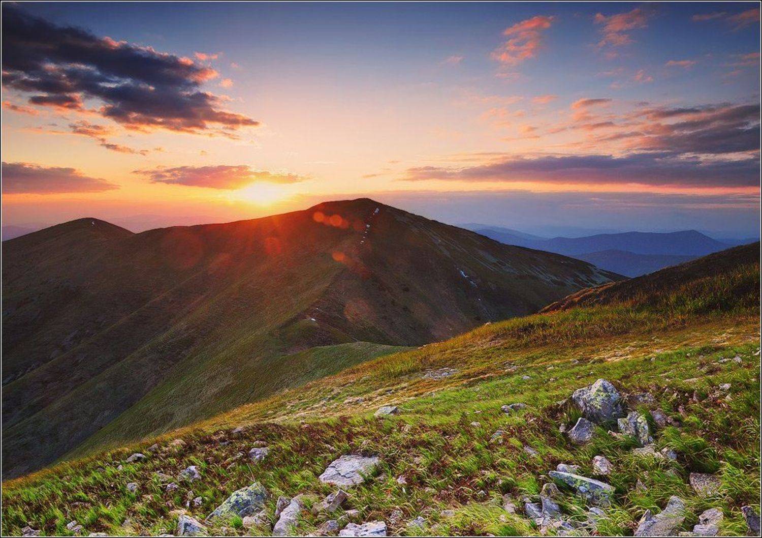 , Денис Кривой