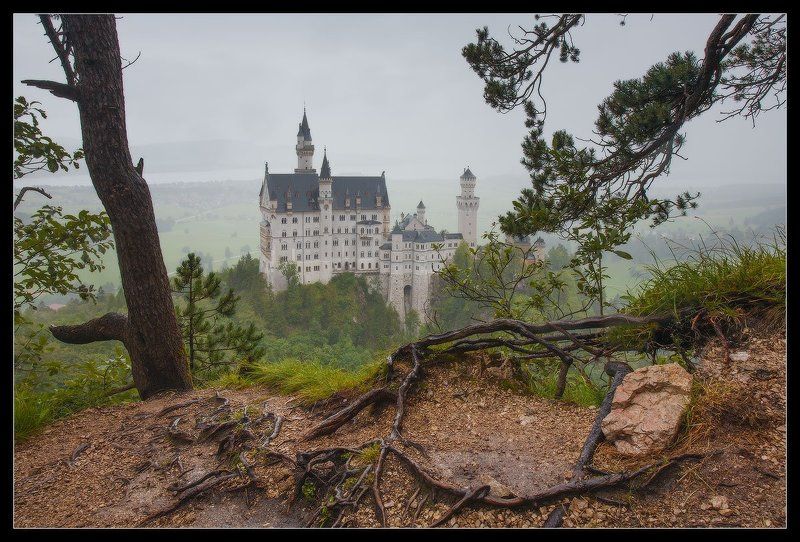 neuschwanstein, нойшванштайн,   германия,   бавария,   замок Лебединый Камень. Neuschwanstein... фото превью