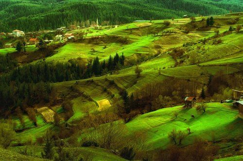Rhodope Spring