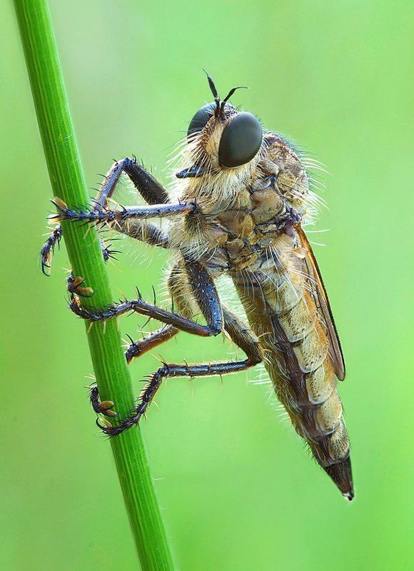 про ктыря... фото превью