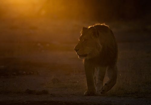 Встречая солнца первые лучи