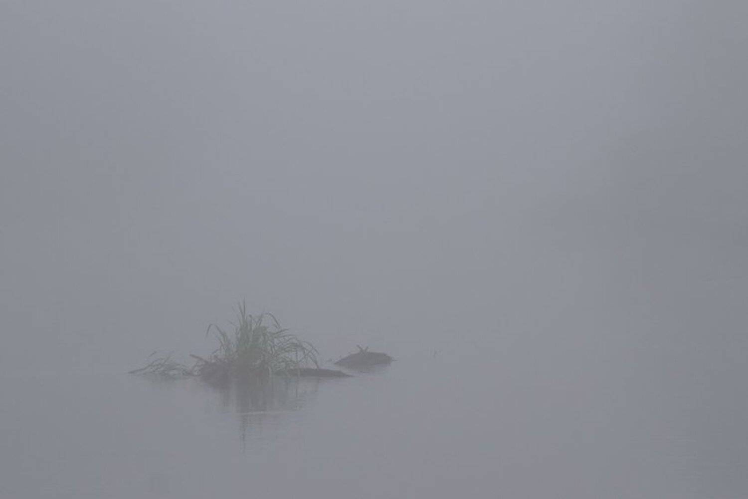 , Георгий Грушин (Photo-classic)